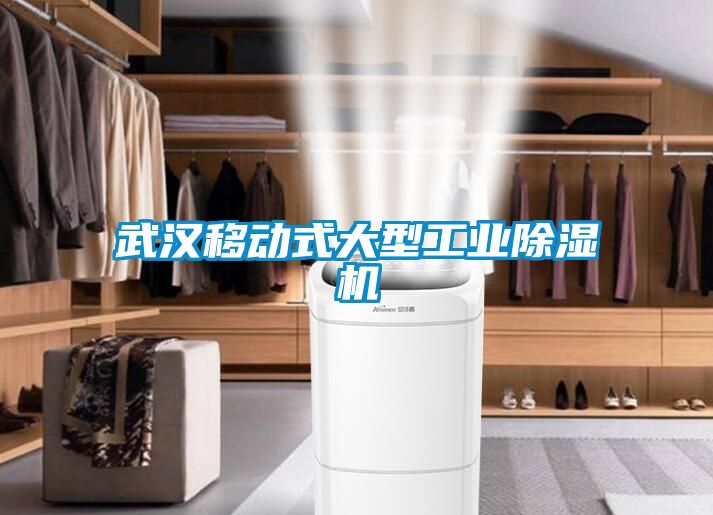 武汉移动式大型工业草莓视频APP在线观看