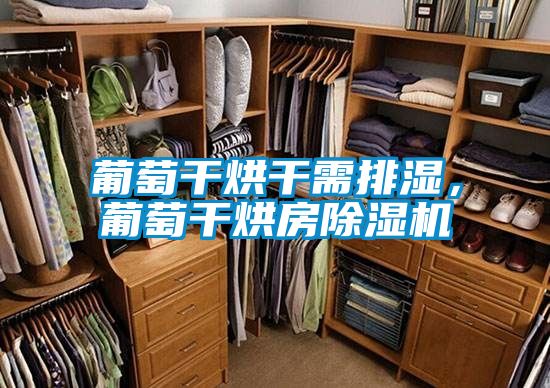 葡萄干烘干需排湿，葡萄干烘房草莓视频APP在线观看