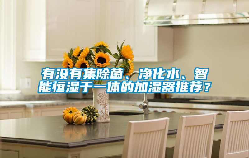 有没有集除菌、净化水、智能恒湿于一体的加湿器推荐？