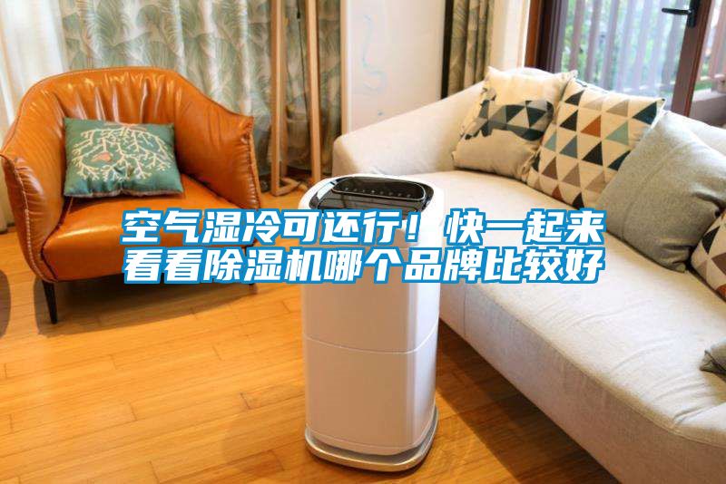 空气湿冷可还行！快一起来看看草莓视频APP在线观看哪个品牌比较好