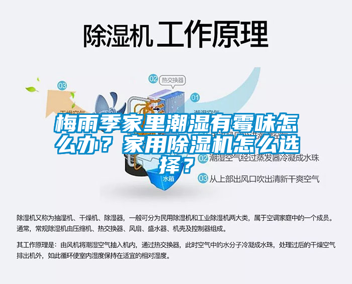 梅雨季家里潮湿有霉味怎么办？家用草莓视频APP在线观看怎么选择？