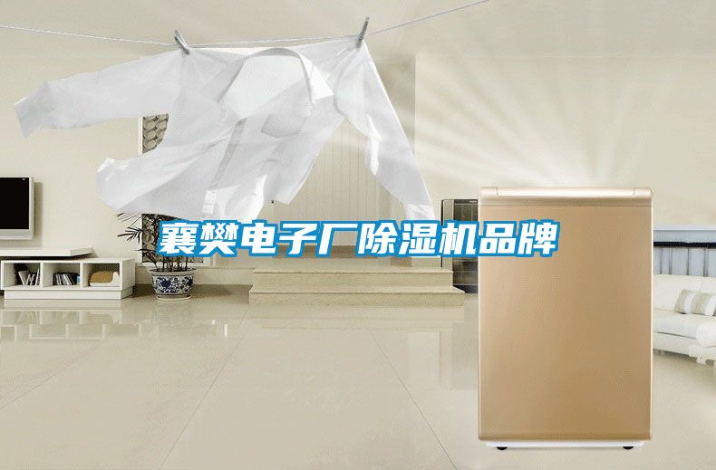 襄樊电子厂草莓视频APP在线观看品牌