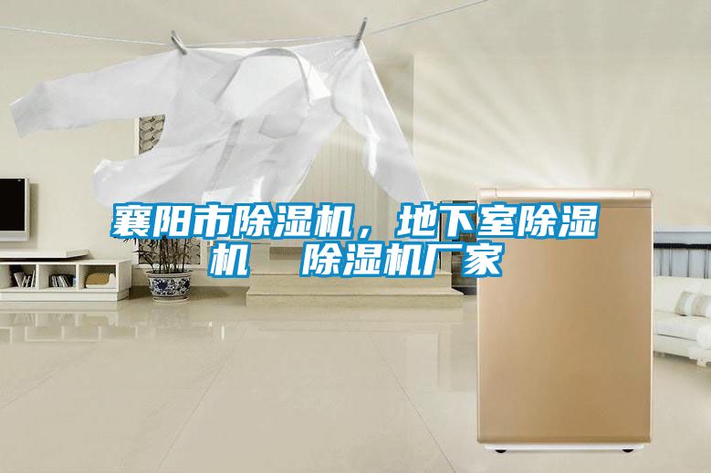 襄阳市草莓视频APP在线观看，地下室草莓视频APP在线观看  草莓视频APP在线观看厂家
