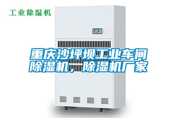 重庆沙坪坝工业车间草莓视频APP在线观看，草莓视频APP在线观看厂家