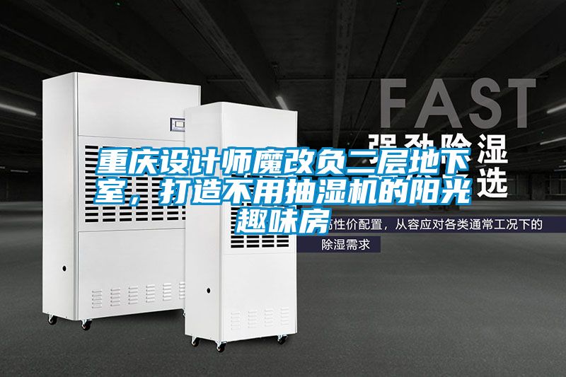 重庆设计师魔改负二层地下室，打造不用抽湿机的阳光趣味房