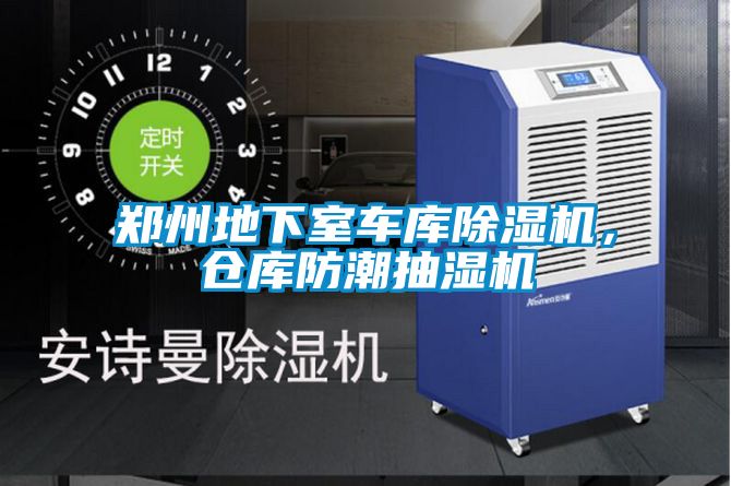 郑州地下室车库草莓视频APP在线观看，仓库防潮抽湿机
