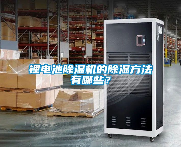 锂电池草莓视频APP在线观看的除湿方法有哪些？