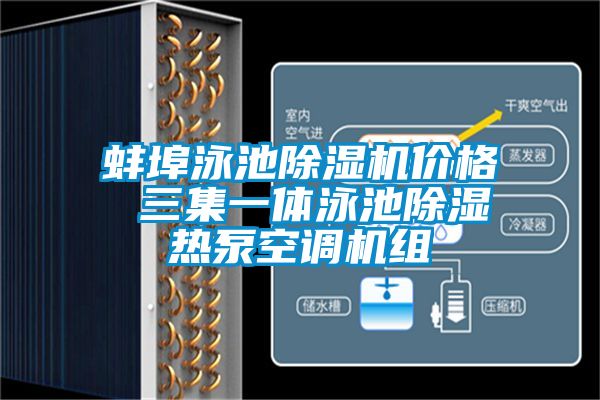 蚌埠泳池草莓视频APP在线观看价格 三集一体泳池除湿热泵空调机组