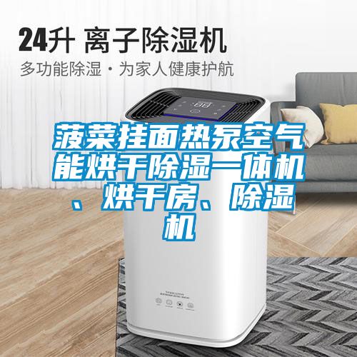 菠菜挂面热泵空气能烘干除湿一体机、烘干房、草莓视频APP在线观看