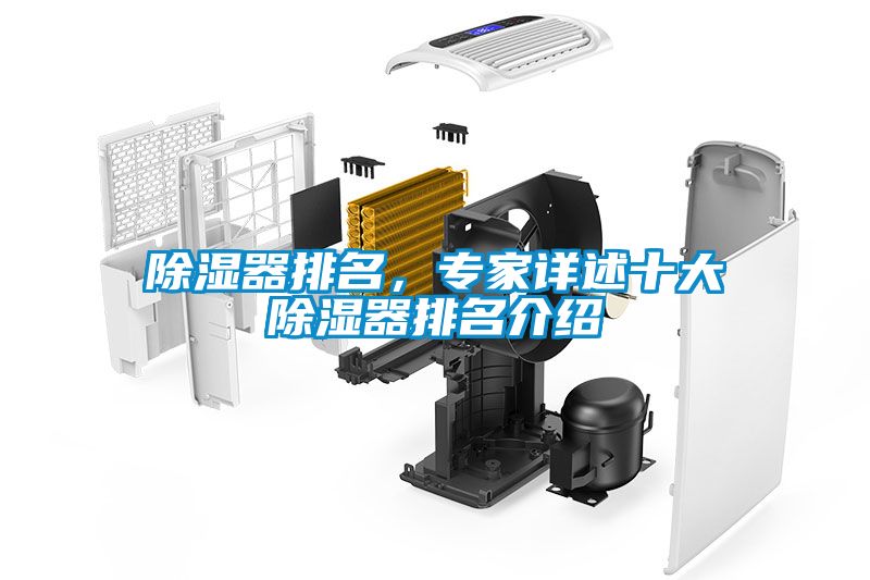 除湿器排名，专家详述十大除湿器排名介绍