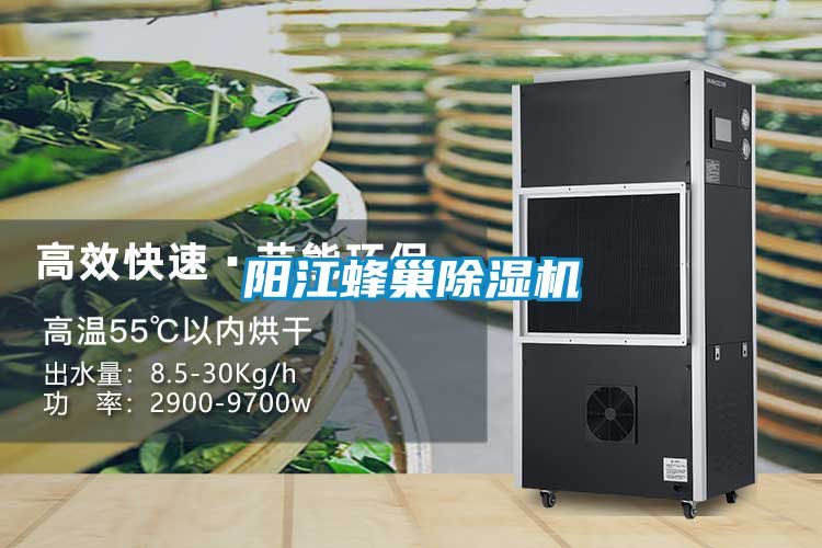 阳江蜂巢草莓视频APP在线观看