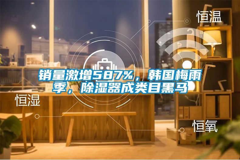 销量激增587%，韩国梅雨季，除湿器成类目黑马