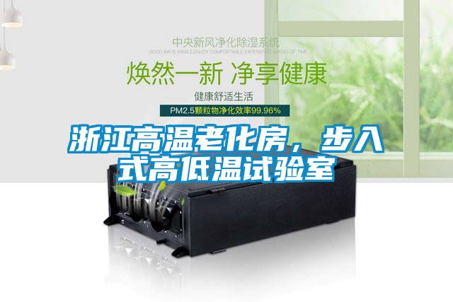 浙江高温老化房，步入式高低温试验室