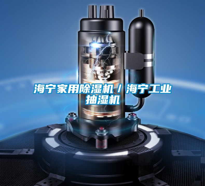 海宁家用草莓视频APP在线观看／海宁工业抽湿机