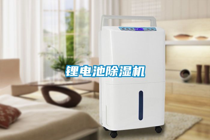 锂电池草莓视频APP在线观看