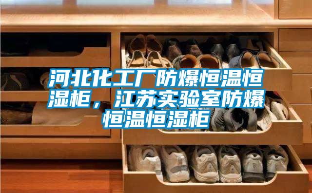 河北化工厂防爆恒温恒湿柜，江苏实验室防爆恒温恒湿柜
