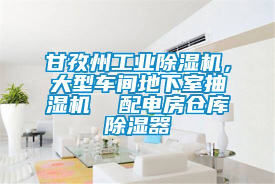甘孜州工业草莓视频APP在线观看，大型车间地下室抽湿机  配电房仓库除湿器