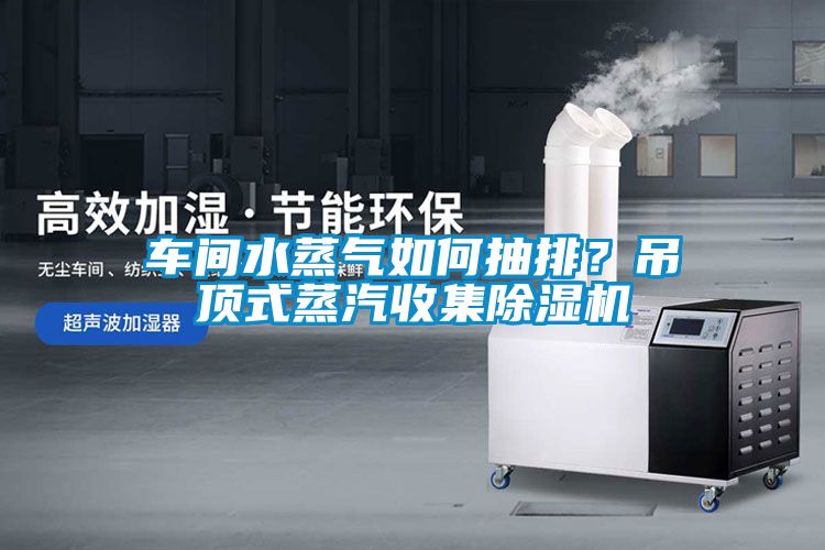 车间水蒸气如何抽排？吊顶式蒸汽收集草莓视频APP在线观看