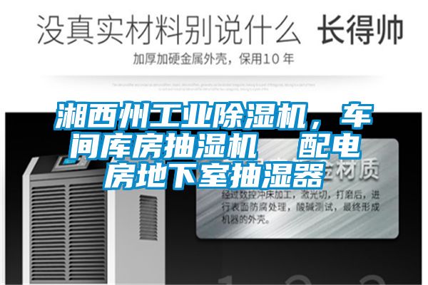 湘西州工业草莓视频APP在线观看，车间库房抽湿机  配电房地下室抽湿器