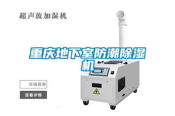 重庆地下室防潮草莓视频APP在线观看