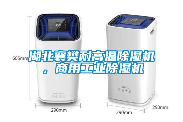 湖北襄樊耐高温草莓视频APP在线观看，商用工业草莓视频APP在线观看