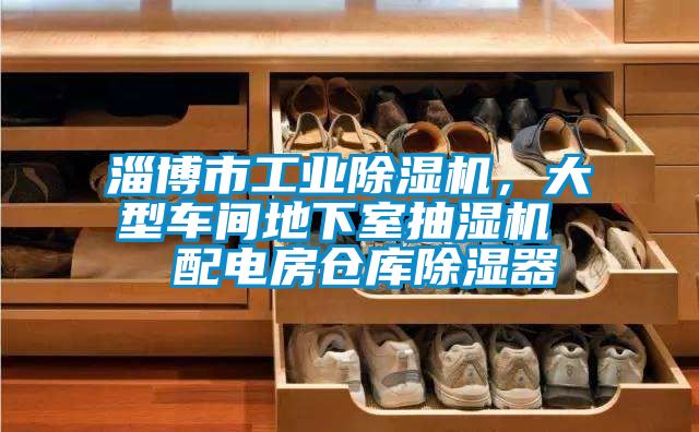 淄博市工业草莓视频APP在线观看，大型车间地下室抽湿机  配电房仓库除湿器