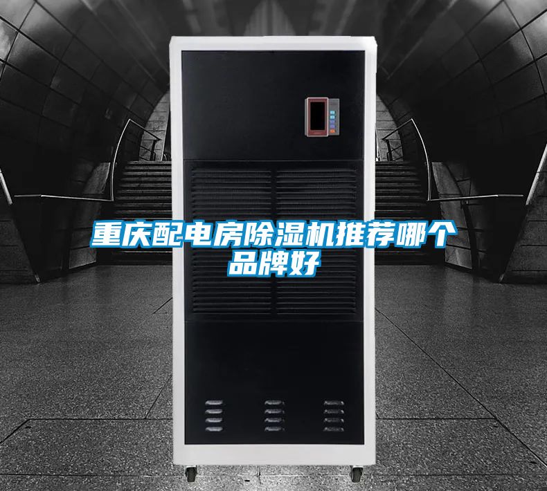 重庆配电房草莓视频APP在线观看推荐哪个品牌好