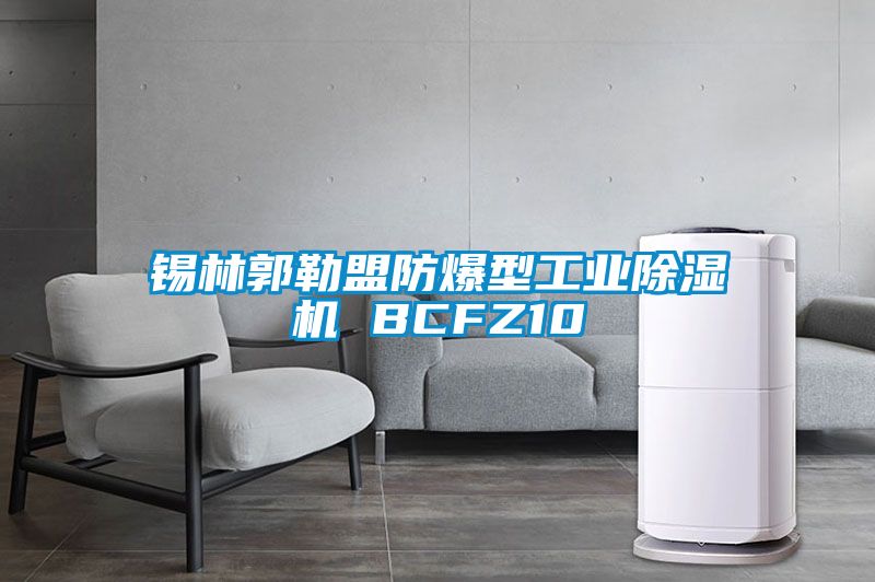 锡林郭勒盟防爆型工业草莓视频APP在线观看 BCFZ10