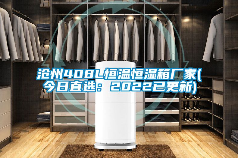沧州408L恒温恒湿箱厂家(今日直选：2022已更新)