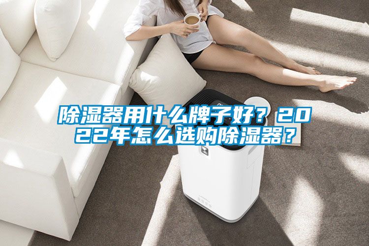 除湿器用什么牌子好？2022年怎么选购除湿器？