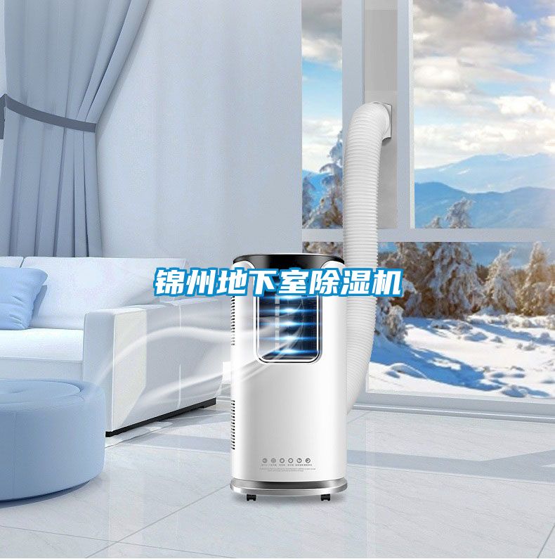 锦州地下室草莓视频APP在线观看
