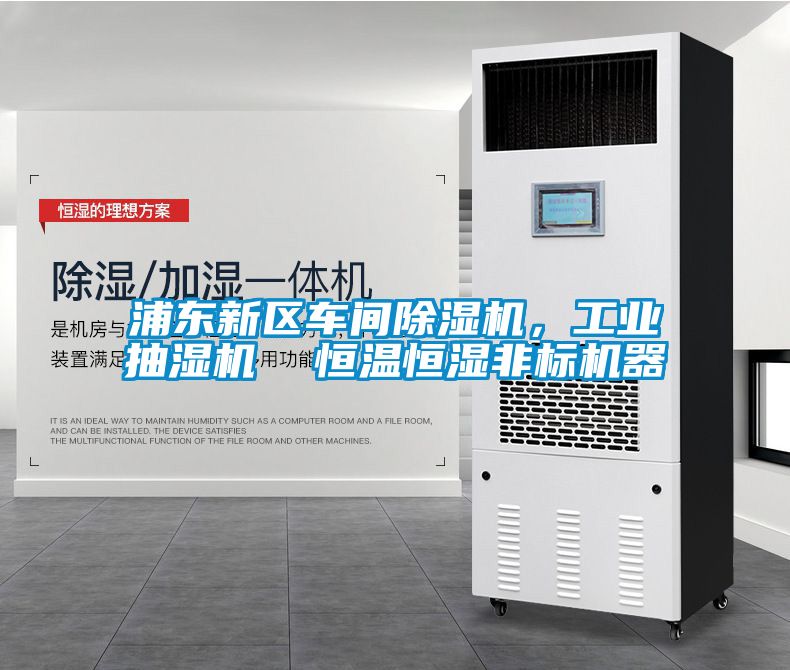 浦东新区车间草莓视频APP在线观看，工业抽湿机  恒温恒湿非标机器