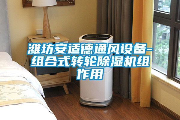 潍坊安适德通风设备-组合式转轮草莓视频APP在线观看组作用