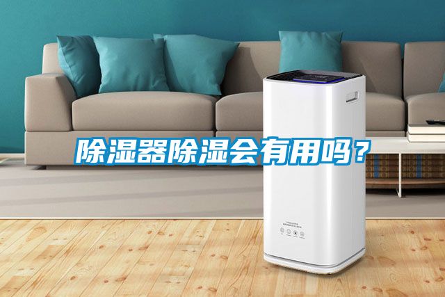 除湿器除湿会有用吗？