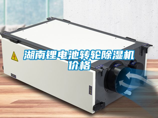 湖南锂电池转轮草莓视频APP在线观看价格