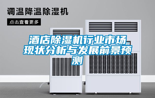 酒店草莓视频APP在线观看行业市场现状分析与发展前景预测