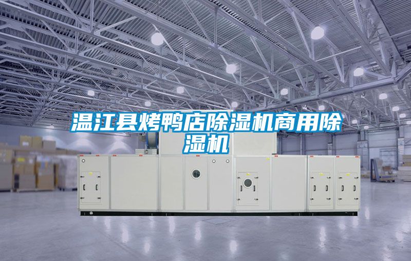 温江县烤鸭店草莓视频APP在线观看商用草莓视频APP在线观看