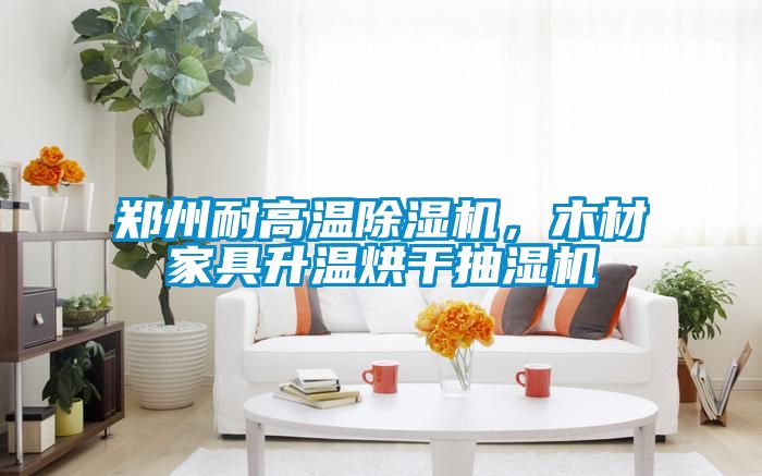 郑州耐高温草莓视频APP在线观看，木材家具升温烘干抽湿机
