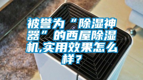 被誉为“除湿神器”的西屋草莓视频APP在线观看,实用效果怎么样？