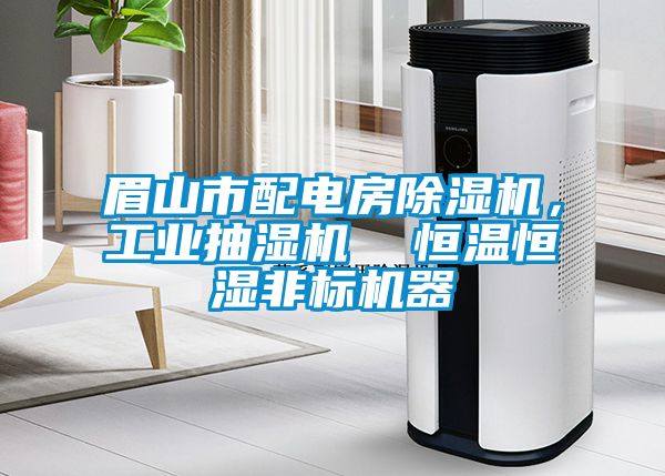 眉山市配电房草莓视频APP在线观看，工业抽湿机  恒温恒湿非标机器