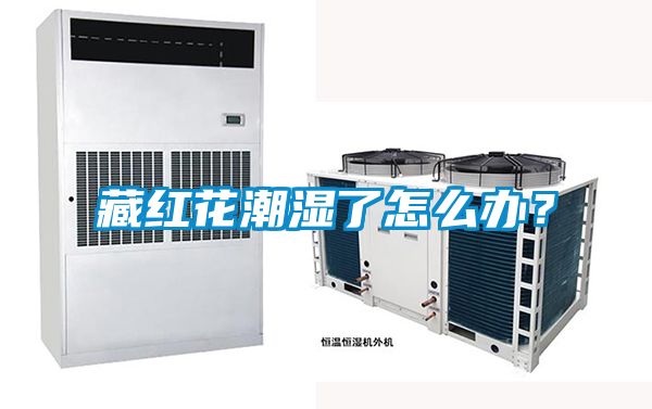 藏红花潮湿了怎么办？
