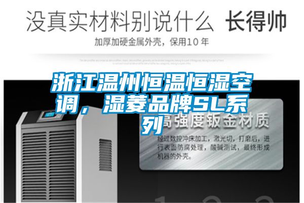 浙江温州恒温恒湿空调，湿菱品牌SL系列