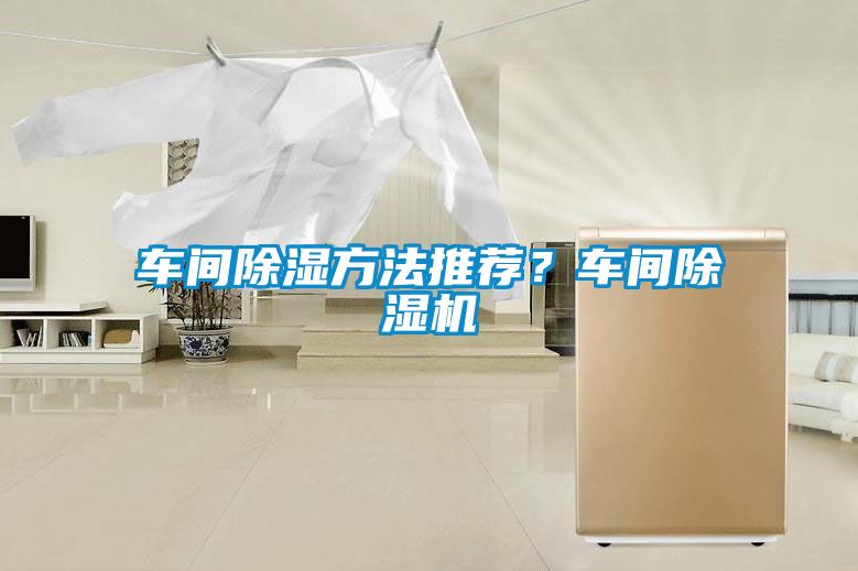 车间除湿方法推荐？车间草莓视频APP在线观看