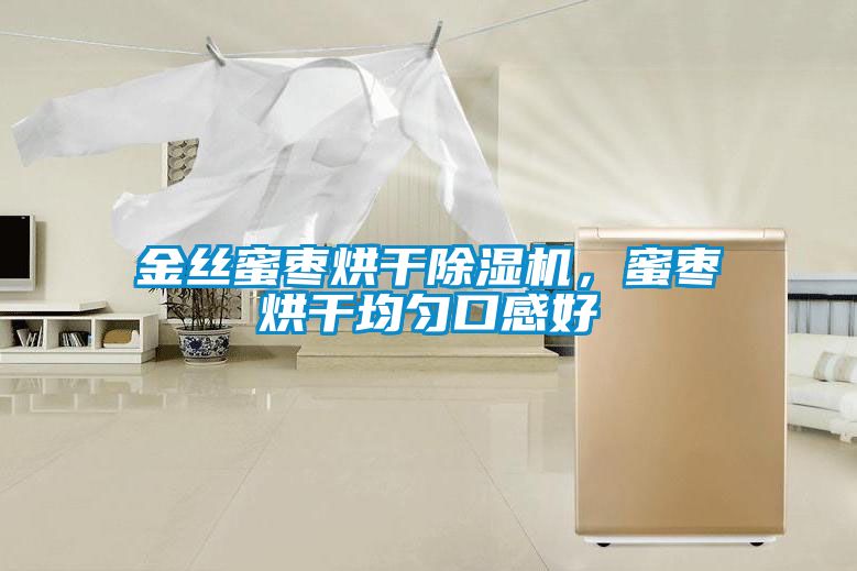 金丝蜜枣烘干草莓视频APP在线观看，蜜枣烘干均匀口感好