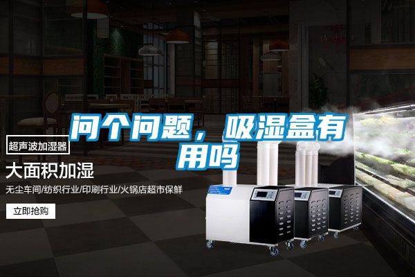 问个问题，吸湿盒有用吗