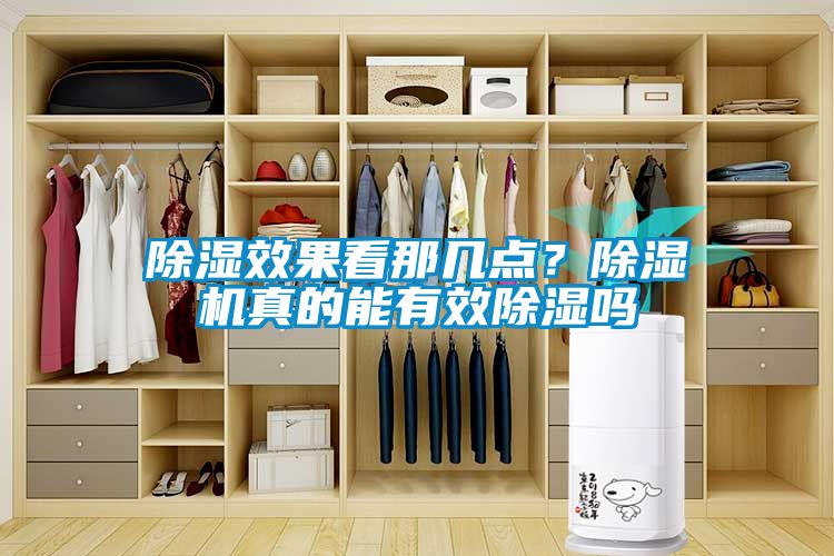 除湿效果看那几点？草莓视频APP在线观看真的能有效除湿吗