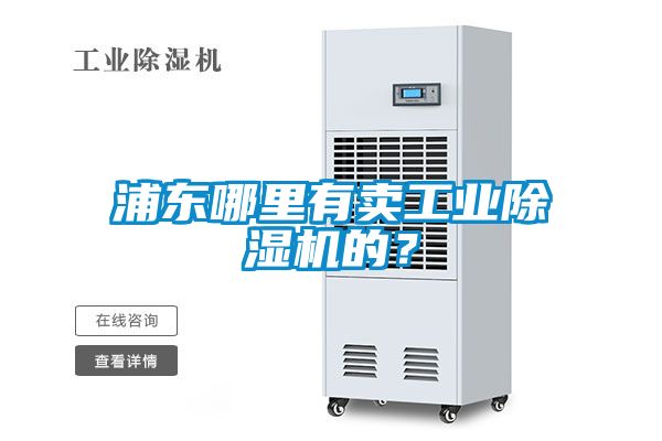 浦东哪里有卖工业草莓视频APP在线观看的？