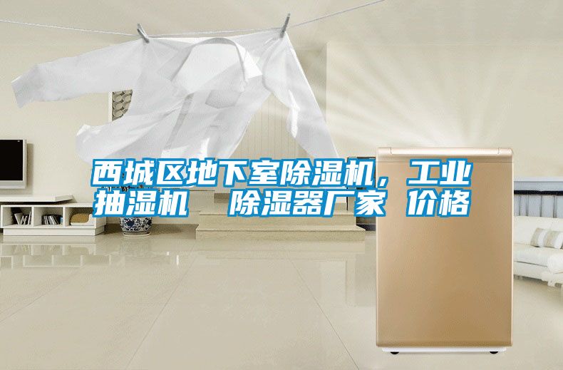 西城区地下室草莓视频APP在线观看，工业抽湿机  除湿器厂家 价格