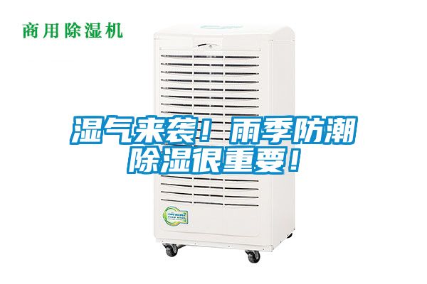 湿气来袭！雨季防潮除湿很重要！