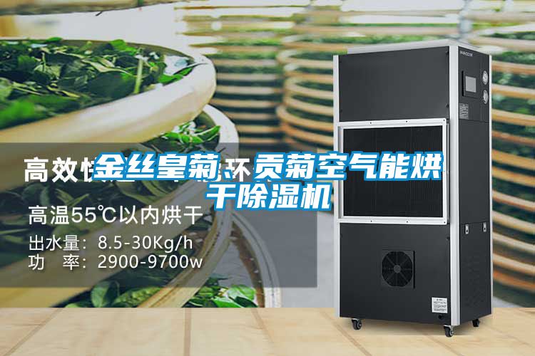 金丝皇菊、贡菊空气能烘干草莓视频APP在线观看